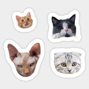 cat faces STICKER PACK Sticker